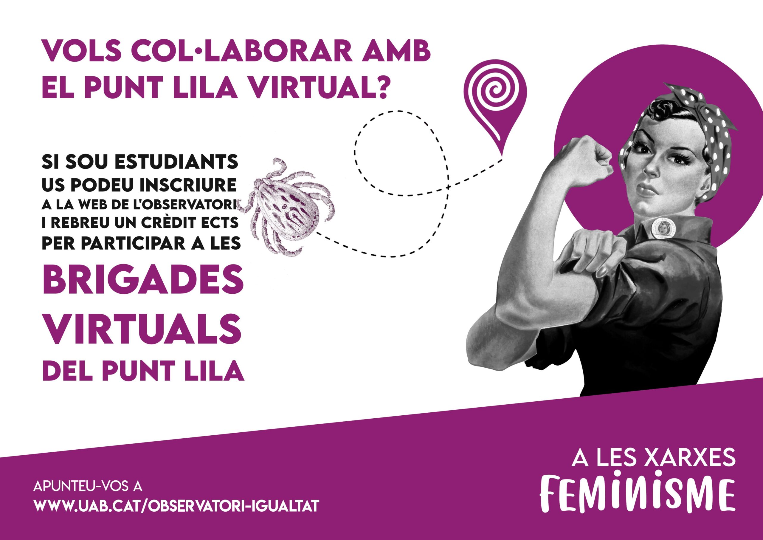 Curs "Eines per col·laborar al Punt Lila Virtual de la FMUAB" // On line